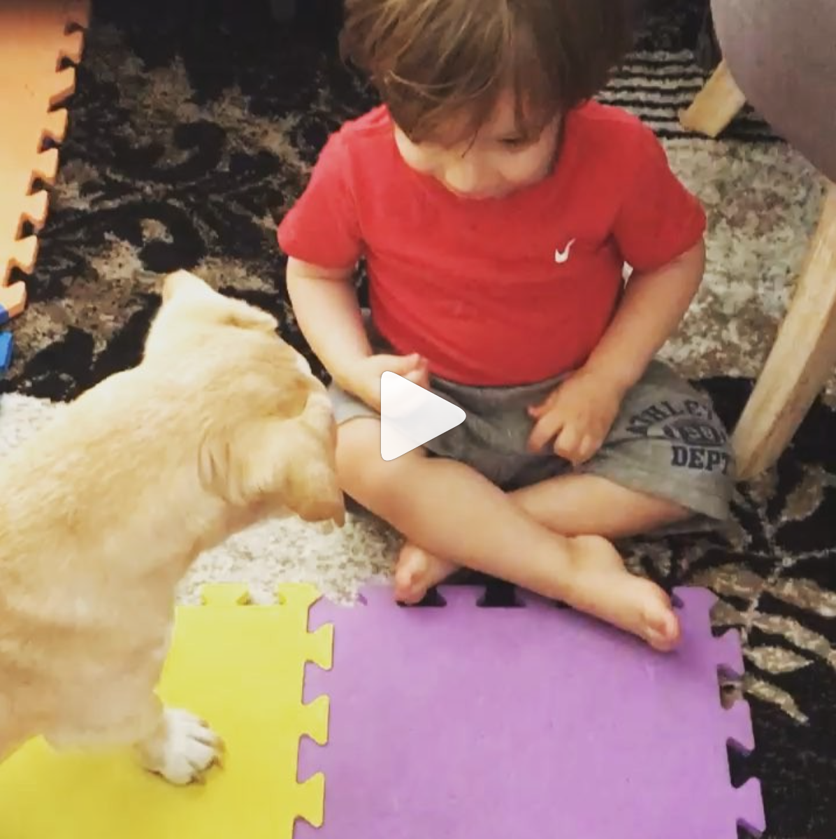 Awesome Video Shows How Your Dog Can (and Should) Obey Your Baby