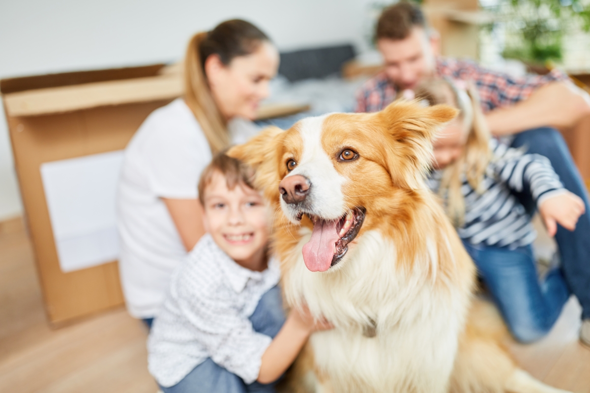 How to Pick the Perfect Dog For Your Family